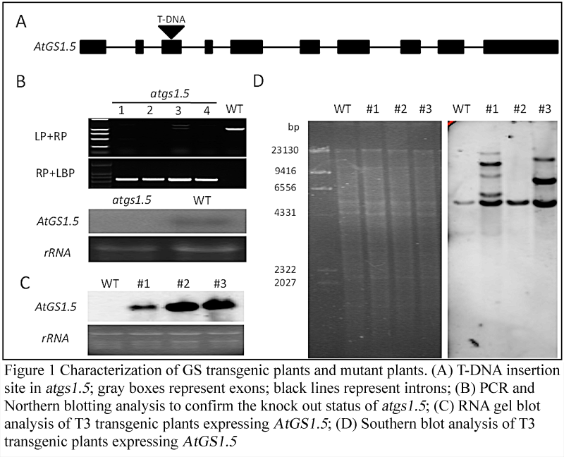 a bioscience publishing platform
