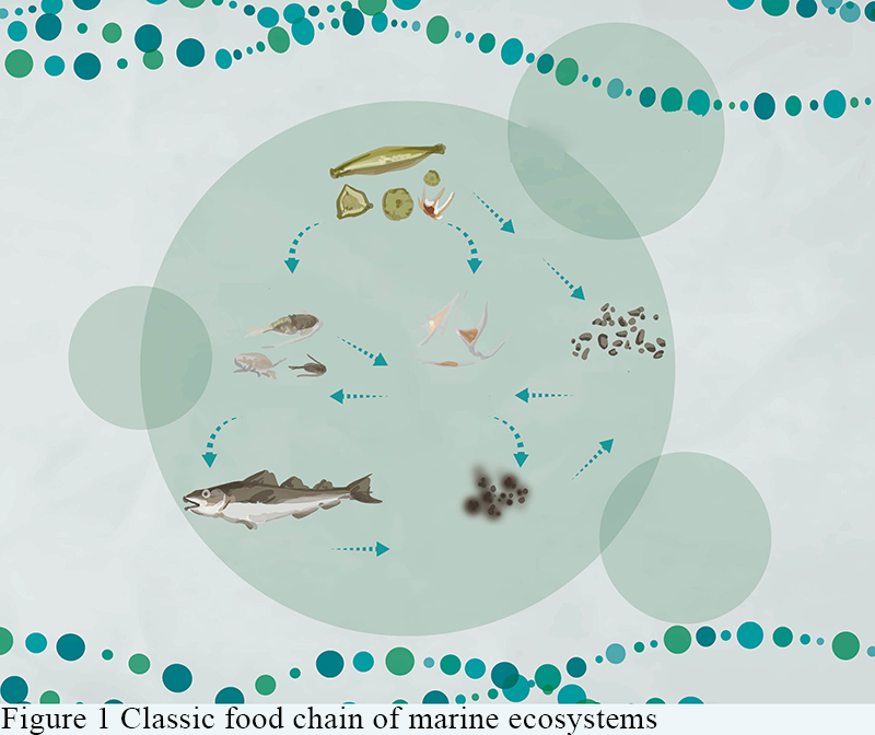 Analysis of the Functions and Values of Marine Ecosystems | Wu 1 ...