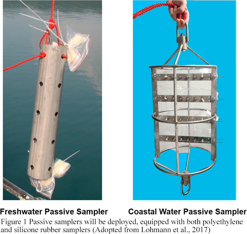 Emerging Contaminants in Aquatic Ecosystems: Sources, Effects, and ...