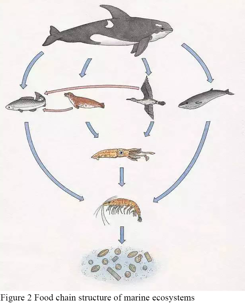 Classification and Main Characteristics of Marine Ecosystems