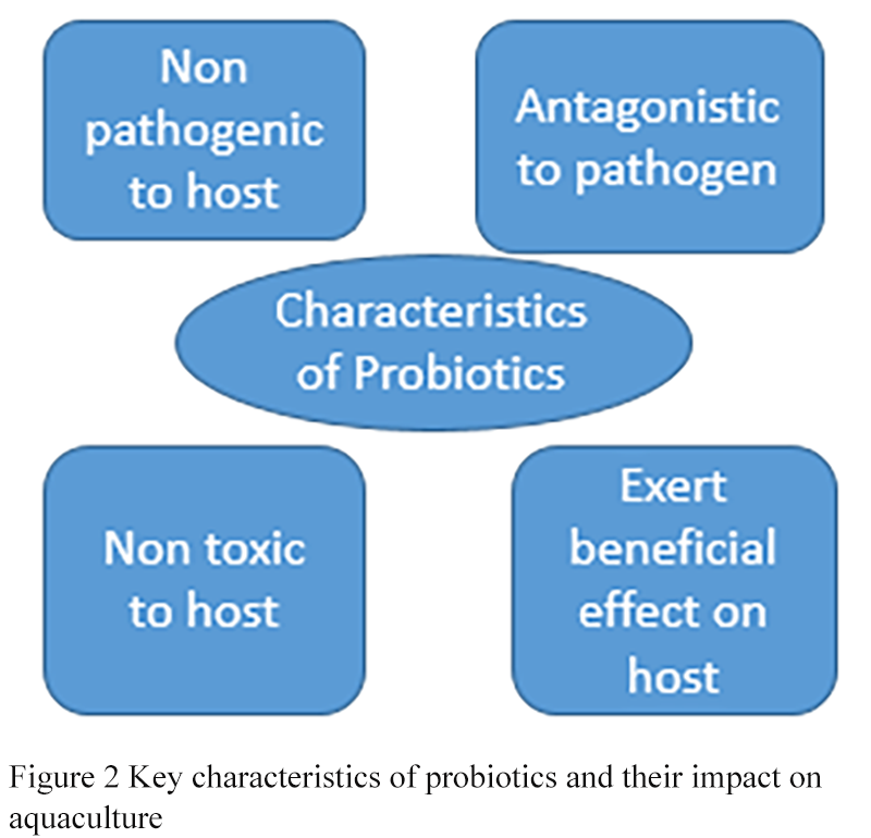 Unwinding the Potential of Probiotics in Aquaculture | Gudipati ...