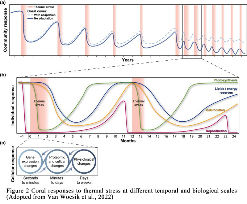 Coral Reef Conservation: Challenges and Advances in Protecting Coral ...