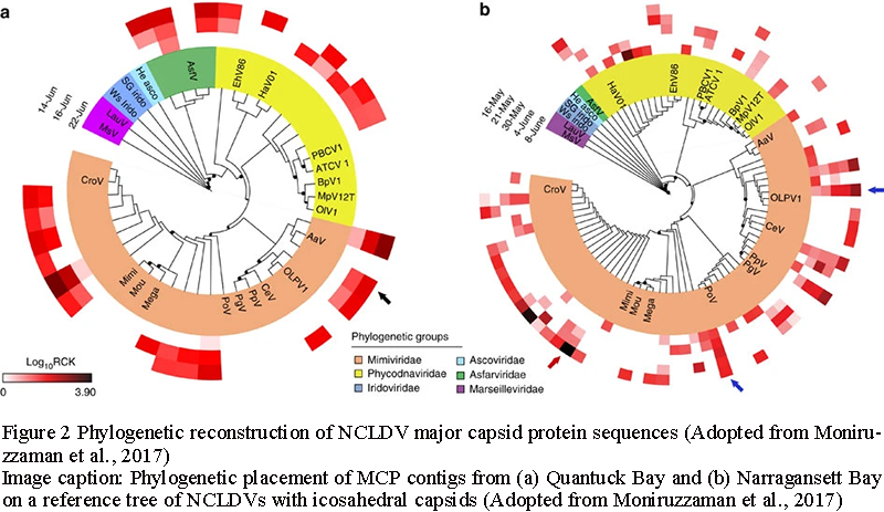 Advancements in Metagenomic and Metatranscriptomic Techniques for ...