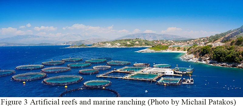 Basic Concepts and Practices of Marine Ranching: A Review from Theory ...