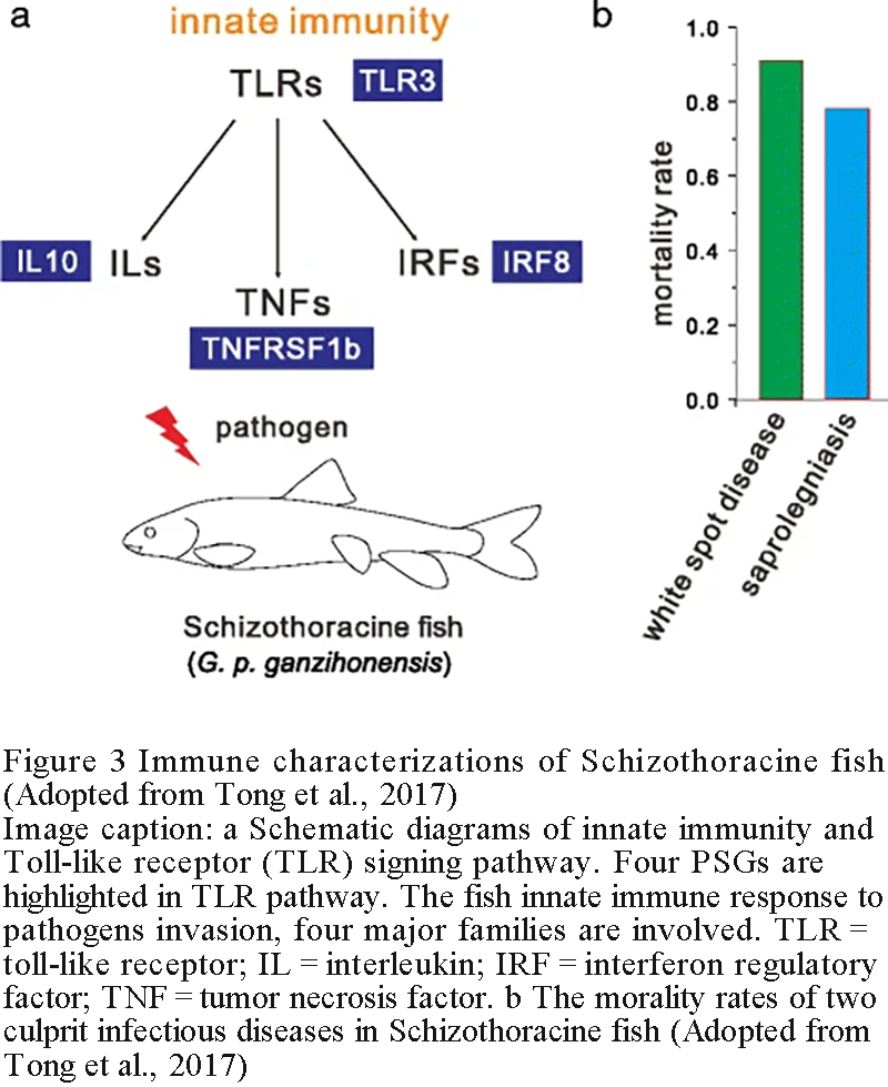 Mechanisms of Adaptation in Aquatic Species: From Phenotypic Plasticity ...