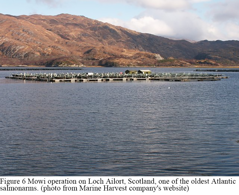 Basic Concepts and Practices of Marine Ranching: A Review from Theory ...