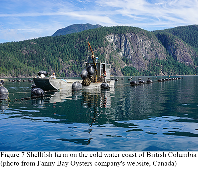 Basic Concepts and Practices of Marine Ranching: A Review from Theory ...
